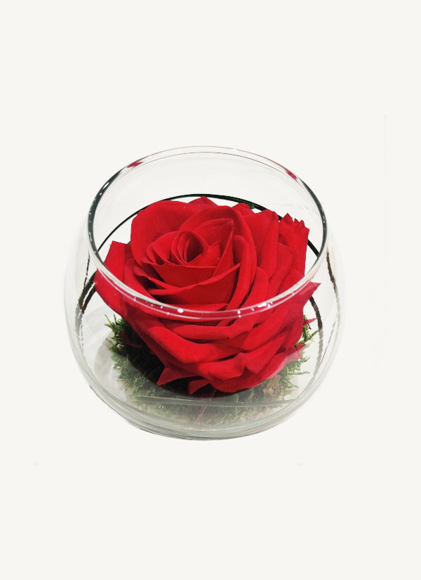 ROSE ETERNELLE ROUGE dans son vase en verre